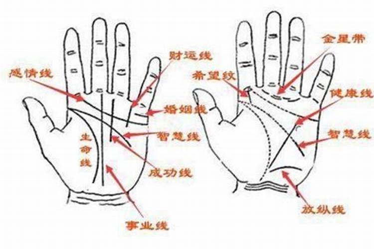 生肖龙的性格特征