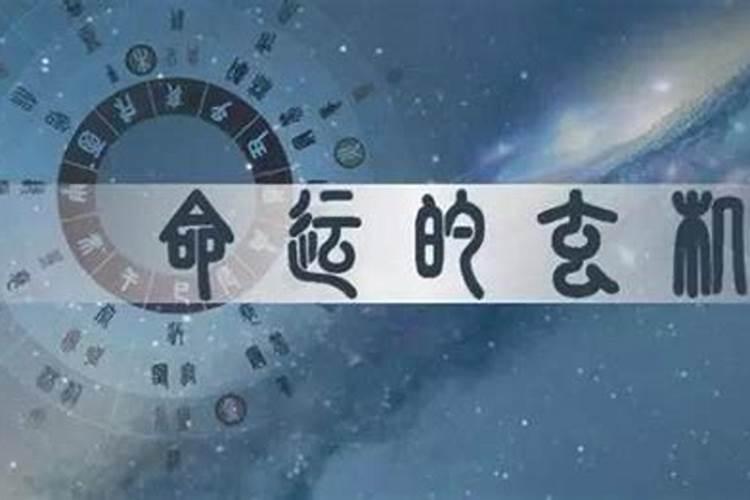 1月23日的是什么星座