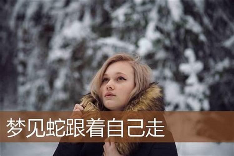 梦见美女主动跟自己示好