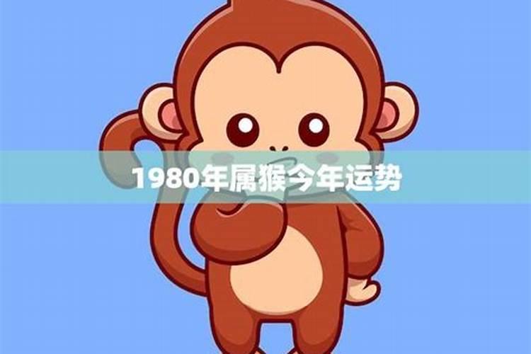 2023属兔的人犯太岁吗