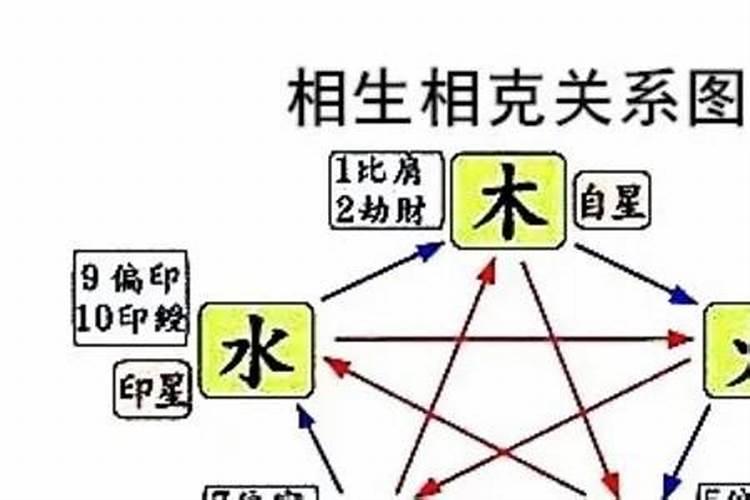 身弱无根的人考学没机会吗