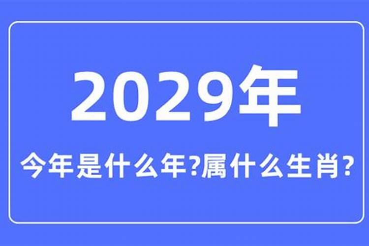 2029年的生肖是什么生肖