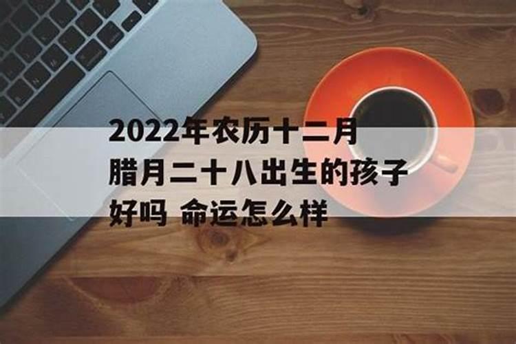 农历腊月二十叫我过生日