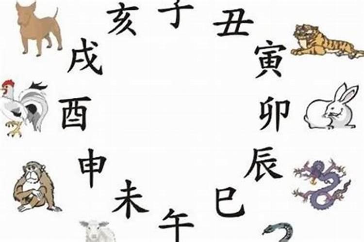 算命何为生肖合八字不合