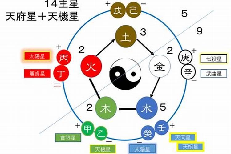 星字五行属什么