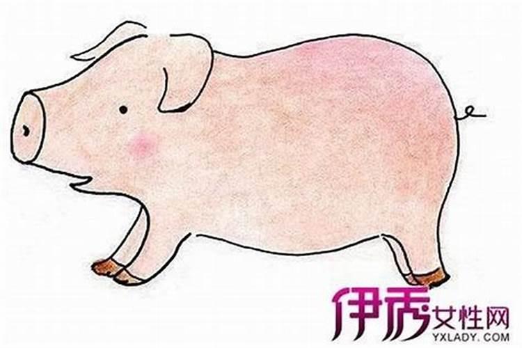 属猪人腊月份运势如何