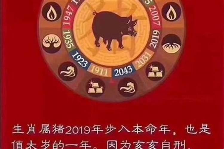 2019什么生肖