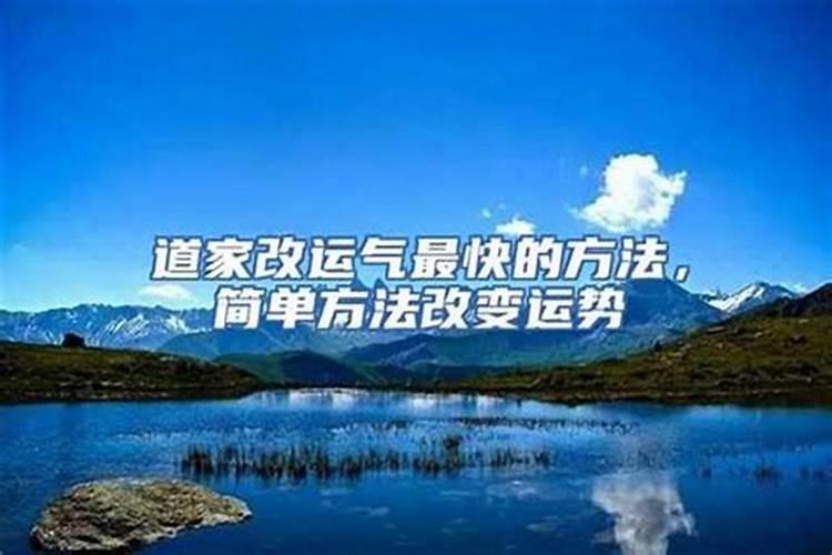 兔子适合找什么属相的对象