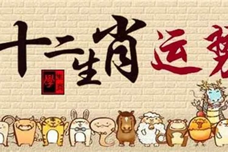 属猪农历8月份的运势