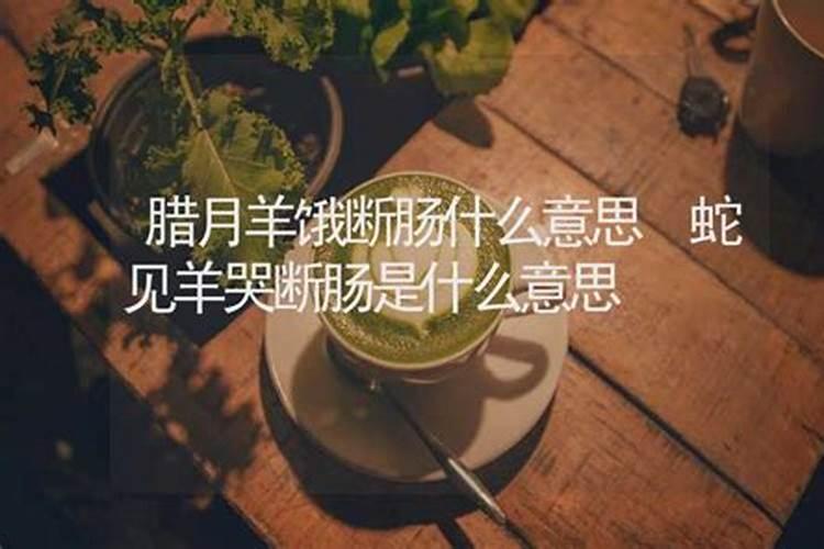 腊月羊断肠是什么意思