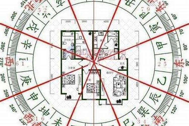 八字算命看地支吗还是日支