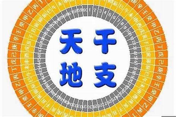 八字有哪些地支合