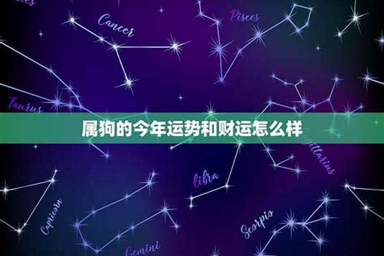 后半夜梦见蟒蛇好不好呢