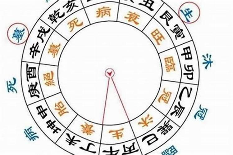 如何查时辰的八字