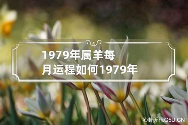 属马2023年运势财运及运程