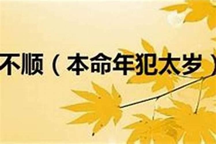 清明节送花是什么意思