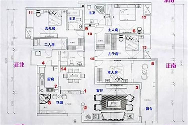 2023属牛女的整体运势如何