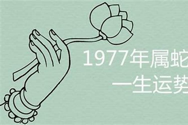 属鸡2023年运势及运程幸运