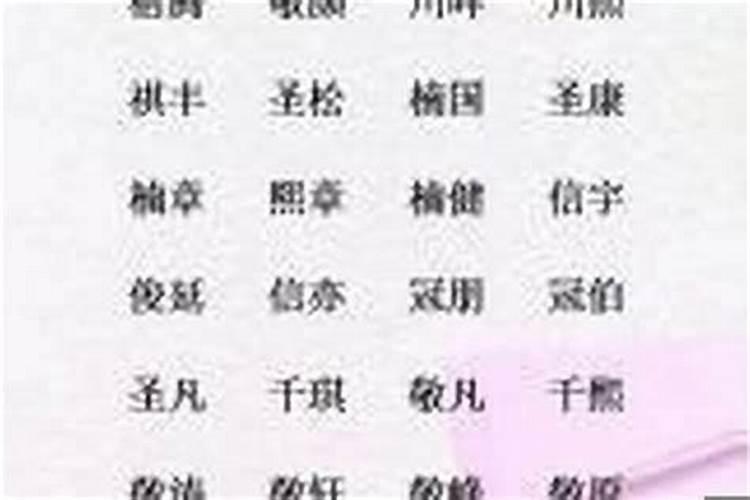 双门双字八合意指什么生肖