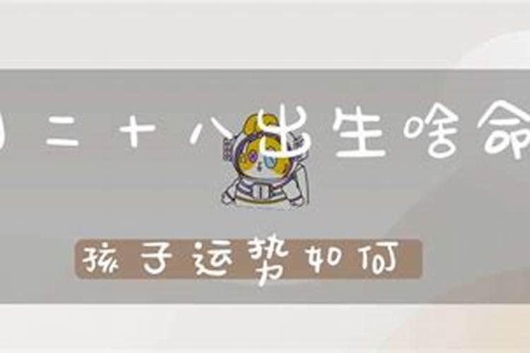 梦见老板来公司了