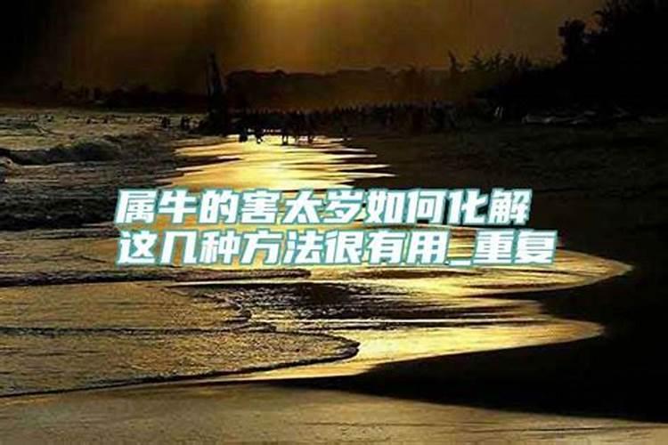 怀孕梦见吃大母螃蟹什么预兆