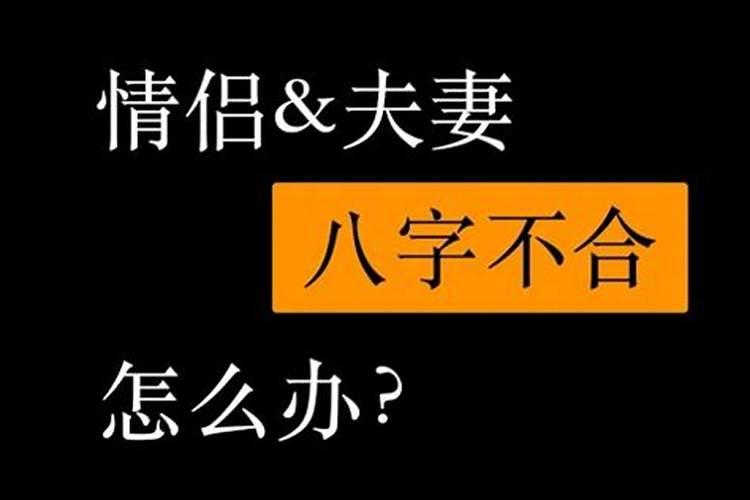 2020年11月17日各生肖运势