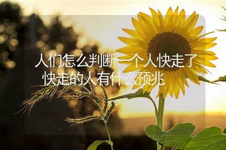 清明节有哪些风俗写出五个字