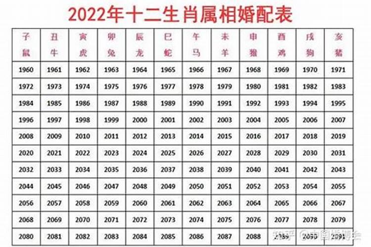 82年2023年属狗人的全年运势