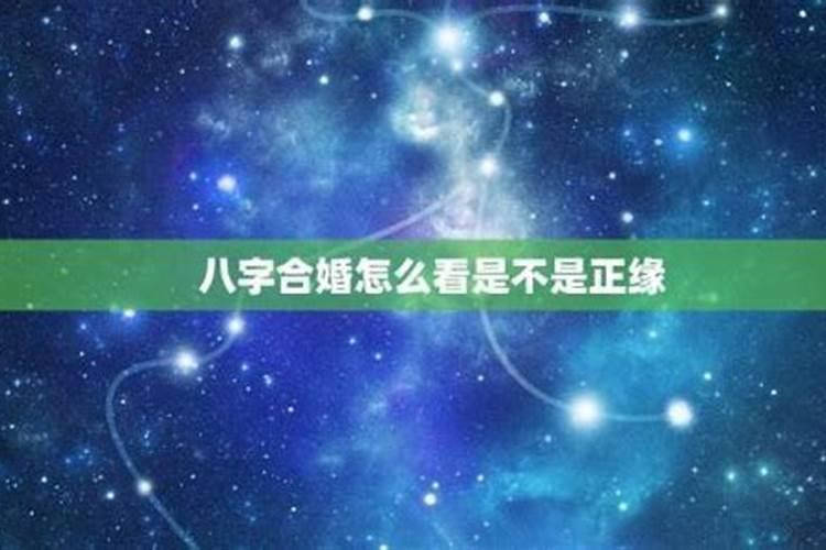 五月份的是什么星座