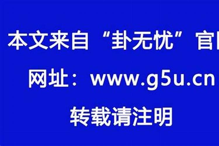 今年狗生肖运势怎么样啊