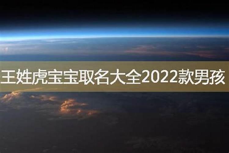 兔子2022年犯太岁吗