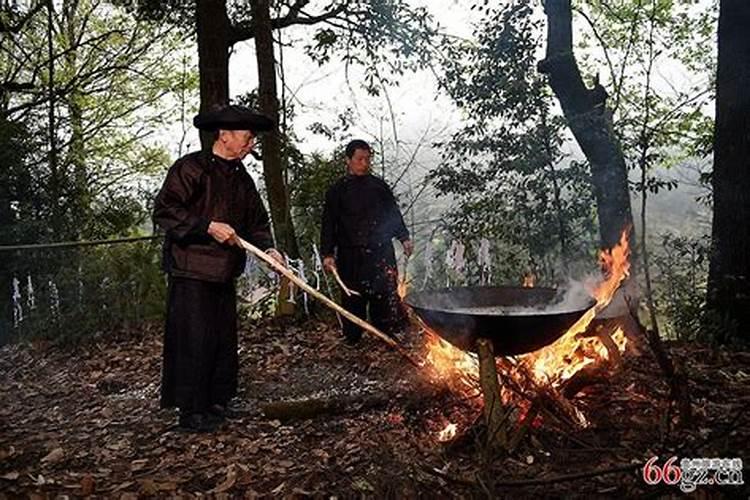 鸿运当头是什么生肖都可以养吗