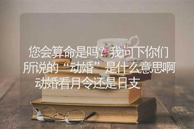 梦见黄牛攻击我老公是什么意思啊