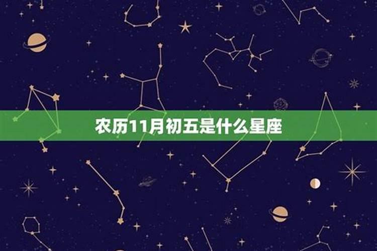 不思进取的一个生肖动物是什么