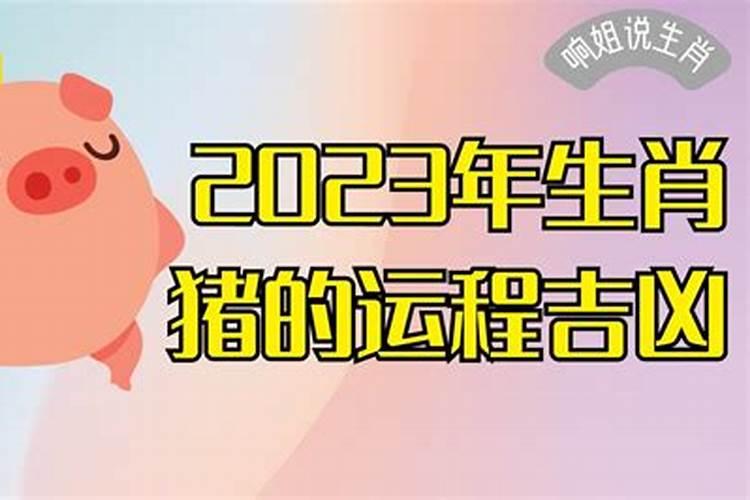 梦见狗追着咬我流血是什么意思啊周公解梦