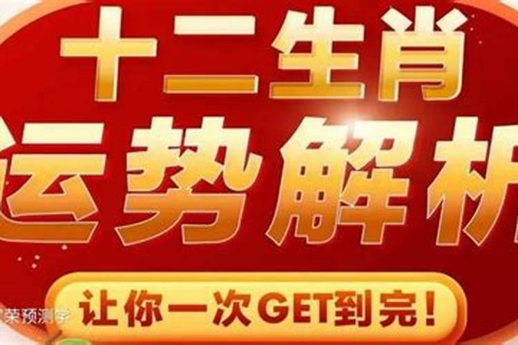 农历1971年属什么生肖属相