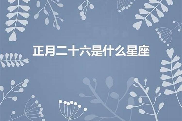 2006年农历12月24日是什么星座