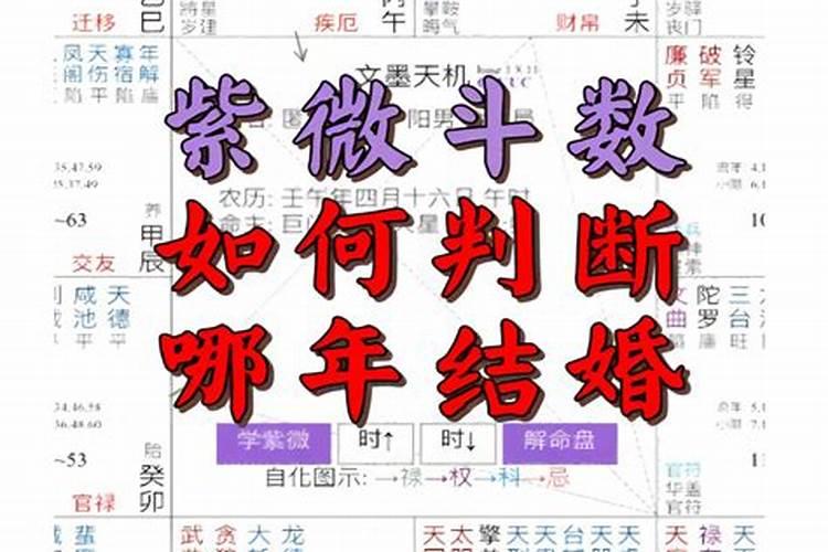 属鼠和什么不合婚配