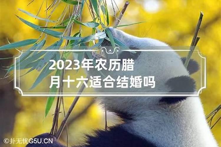 农历2023年腊月十六日