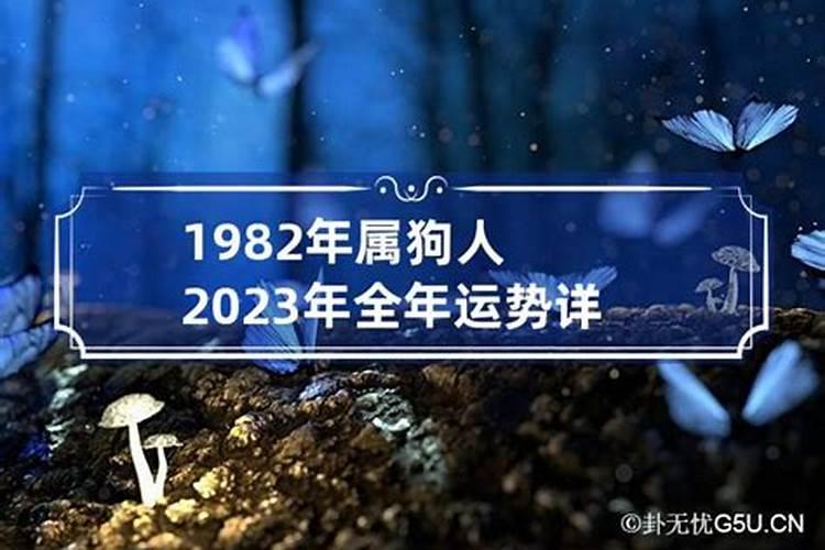 82年狗2023年运势