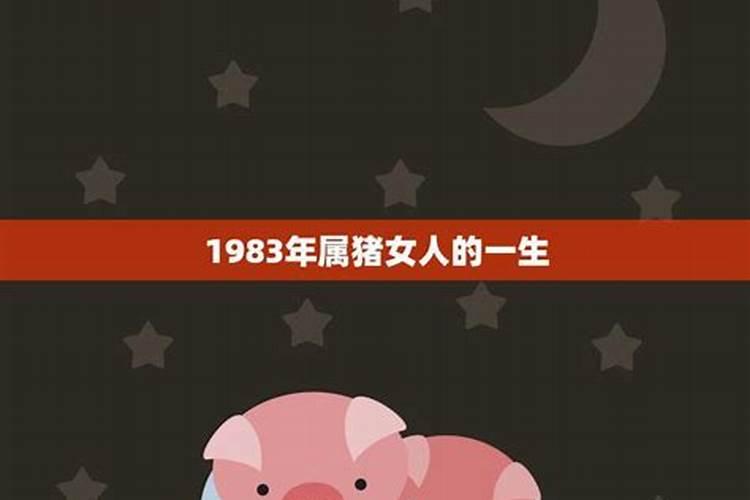 2023年属兔男孩取名宜用字