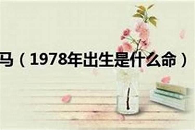 美肖是哪几个生肖2019