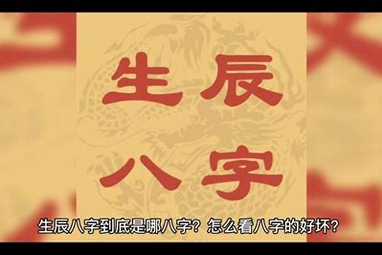 八字七杀合根好吗