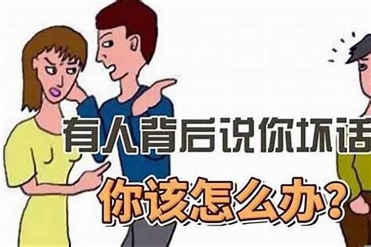 查查属兔的今年运气