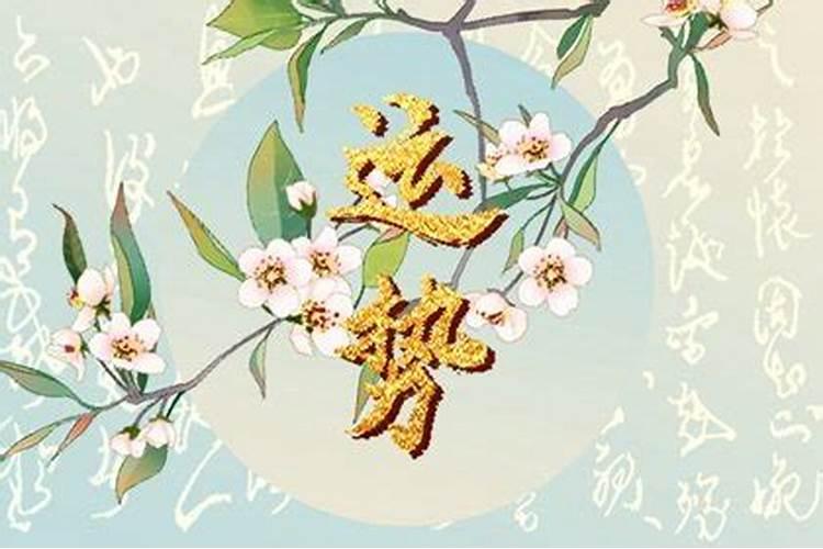 八字真桃花什么意思