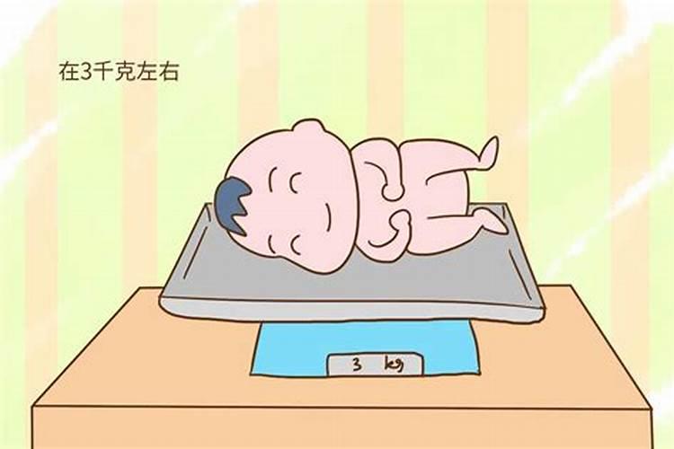 梦见鸡下蛋是什么征兆女性怀孕