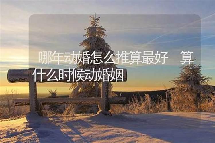 87年兔什么时候犯太岁