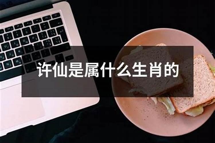 许仙是属什么生肖的