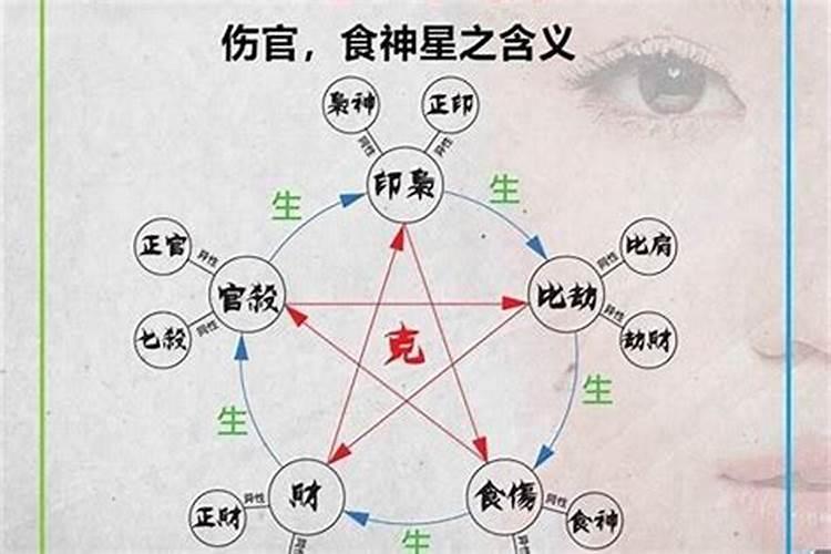 有仙缘的人梦见同学