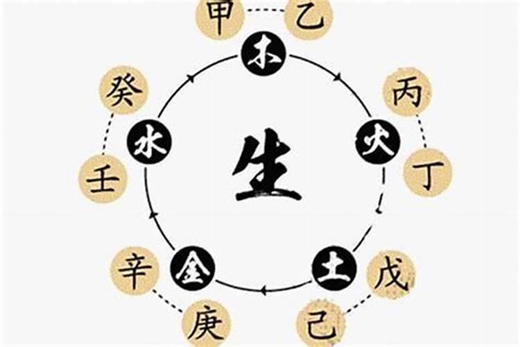 生肖榜数字